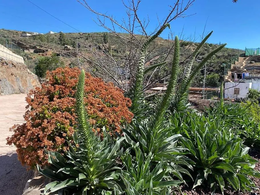 Casa Rural La Escondida Arico Viejo Holiday home
