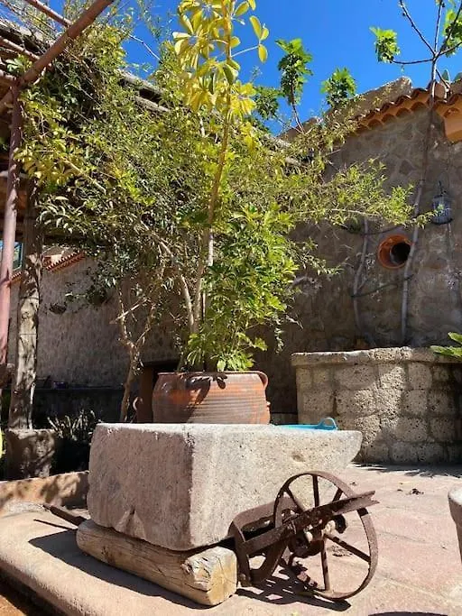 Casa Rural La Escondida Arico Viejo
