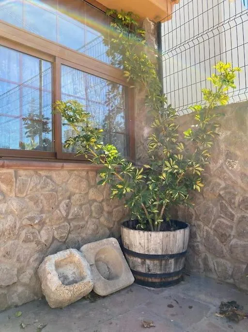 Prázdninový dům Casa Rural La Escondida Arico Viejo Španělsko